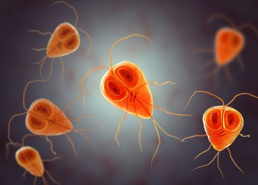 PARASITES – THE UNINVITED GUESTS